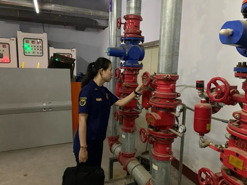 忻州支隊(duì)開展2021年全市消防技術(shù)服務(wù)機(jī)構(gòu)專項(xiàng)檢查行動